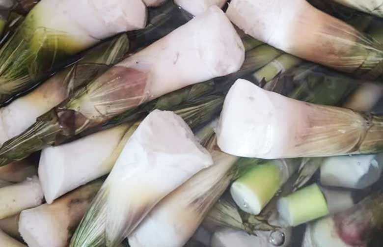 ไผ่บงหวาน