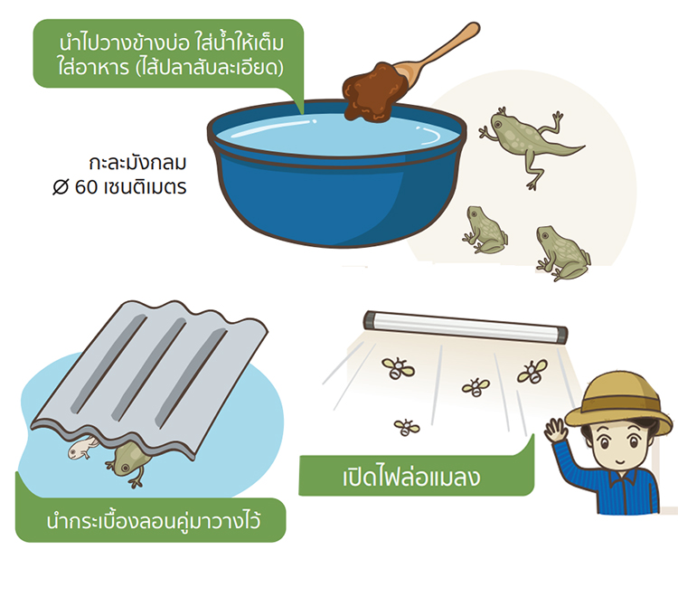 ลูกอ๊อด