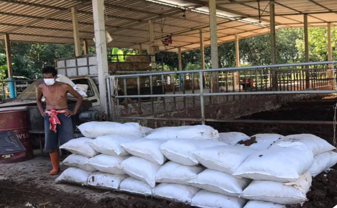 เทคนิคการจัดการดินและปุ๋ยในพืชและผัก ให้เหมาะสม