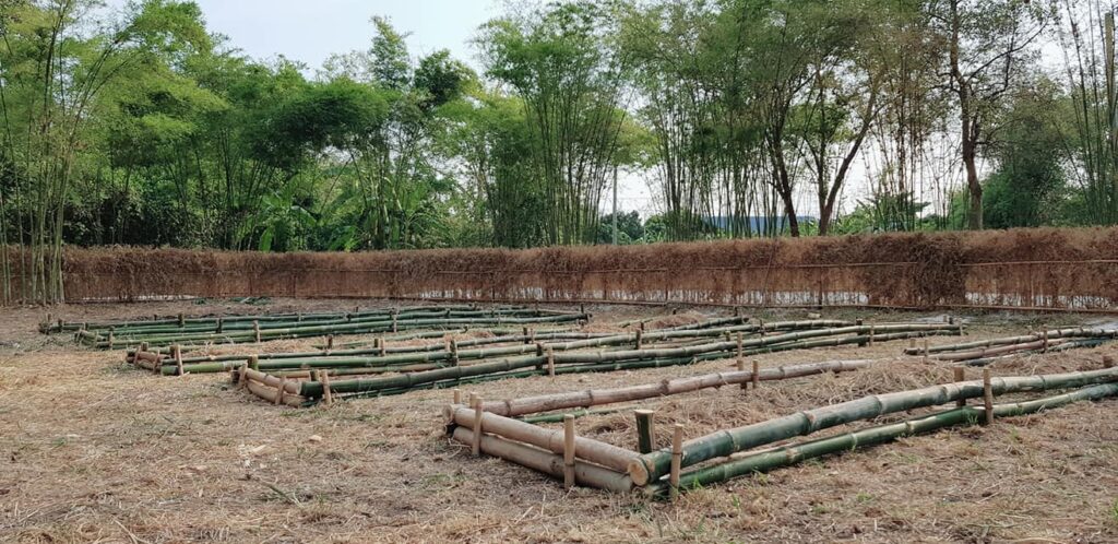 ค้างผัก