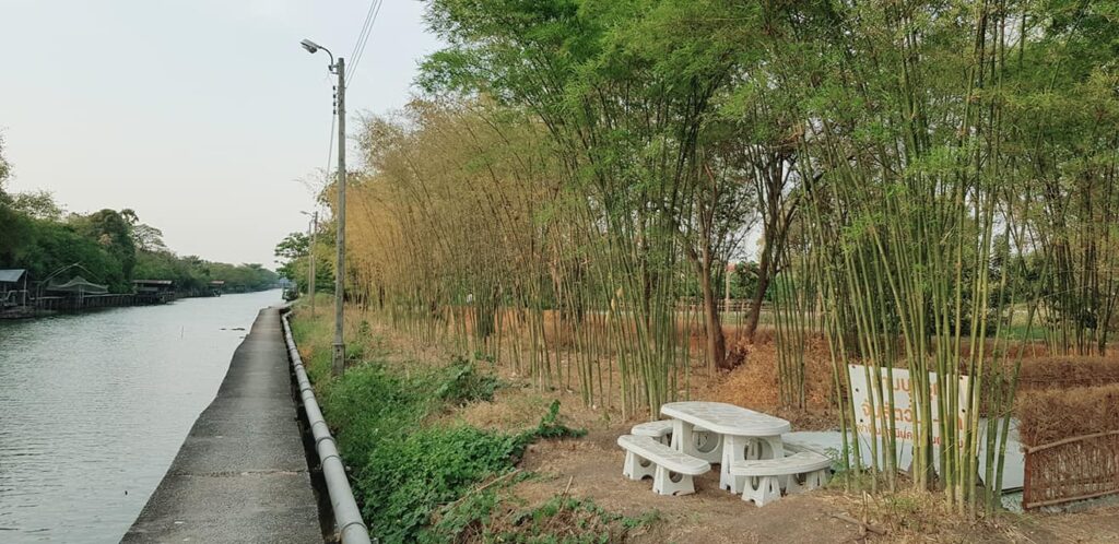 ค้างผัก