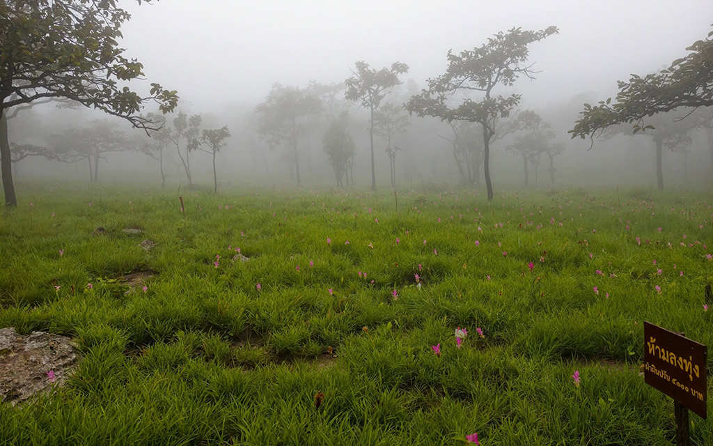อุทยานแห่งชาติป่าหินงาม