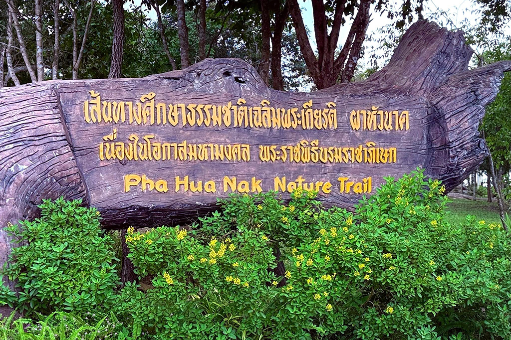 ผาหัวนาค