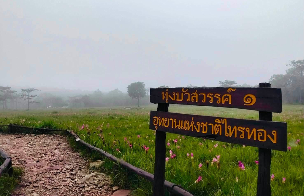 อุทยานแห่งชาติไทรทอง